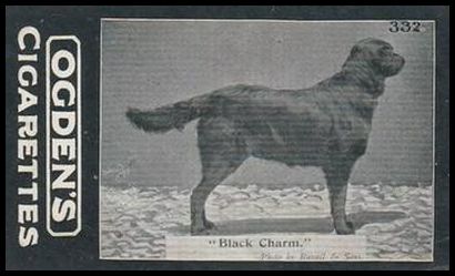 332 Black Charm